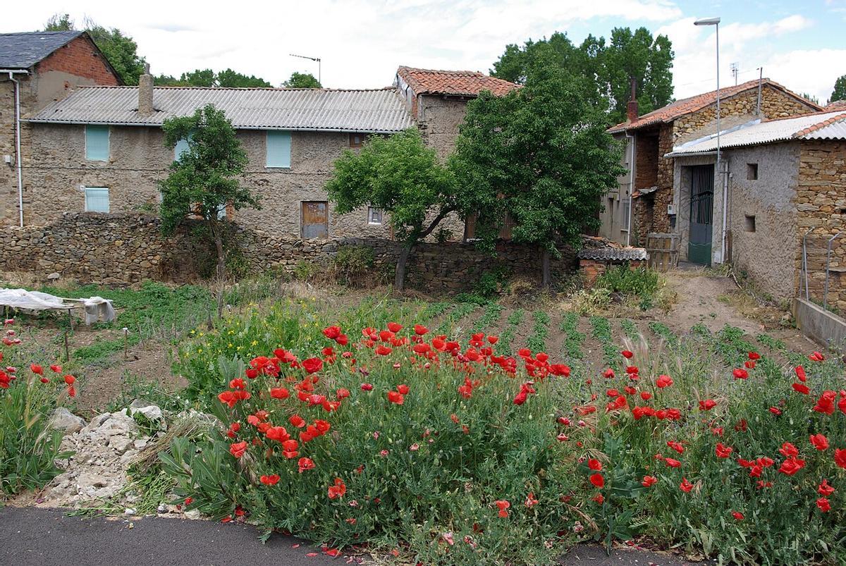 Casas en La Utrera