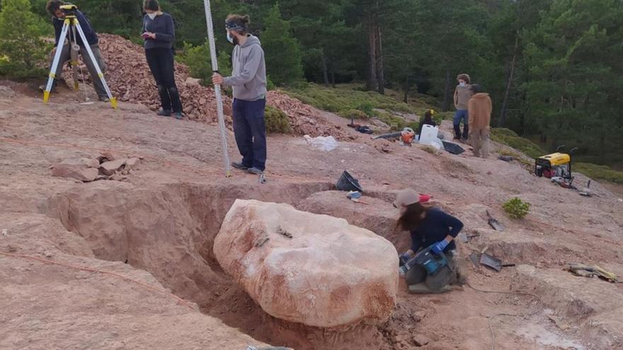 Varios alumnos del curso de paleontología en el yacimiento de Loarre.