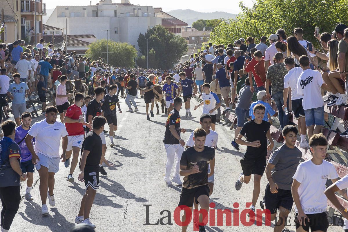 Sexo encierro de la Feria Taurina del Arroz, con la ganadería de Galache, que se ha saldado con un herido por asta de toro