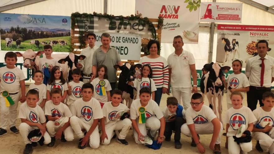 La raza frisona brilla en el concurso de ganado de Tineo, con más de 200 reses