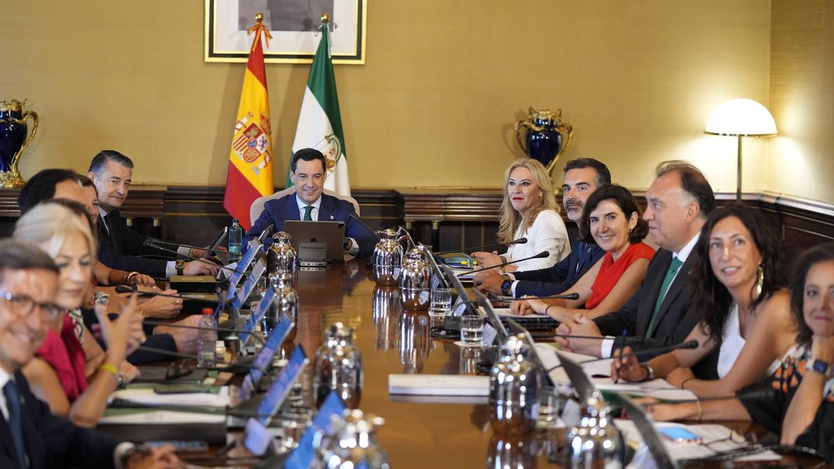 El presidente de la Junta de Andalucía, Juanma Moreno, durante el Consejo de Gobierno en el Palacio de San Telmo, a 30 de julio de 2024.