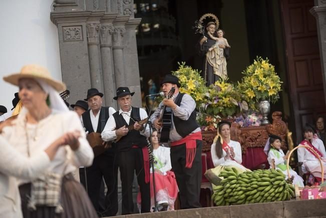 Romeria de MOYA.