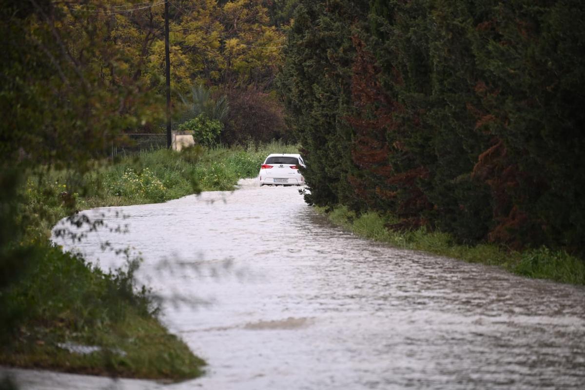 Elche suspende clases en tres centros y la lluvia ya supera los 69 litros junto al Martínez Valero