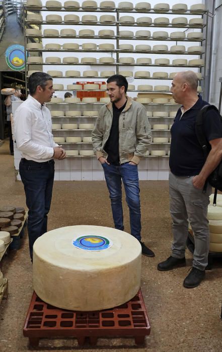 Un queso de Gran Canaria de 174 kilos, el más grande del Archipiélago