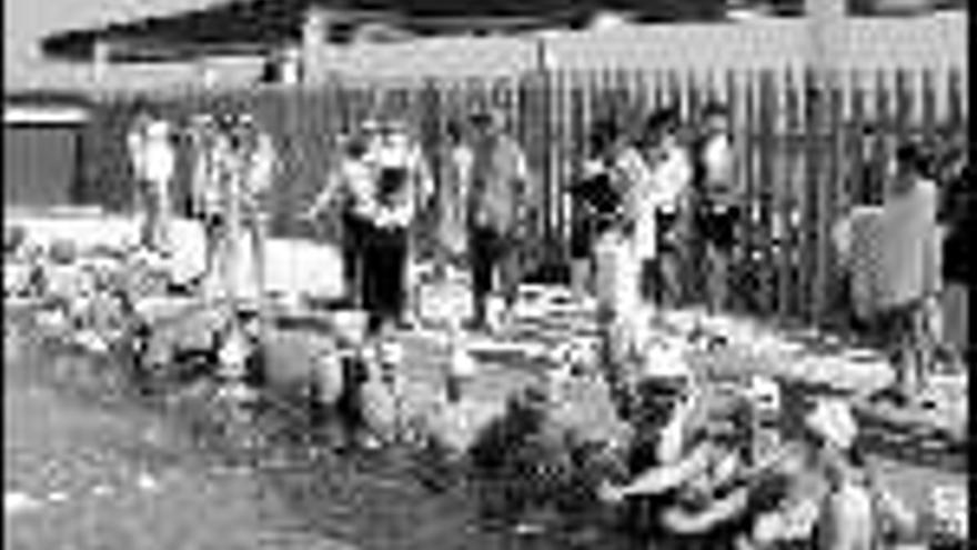 Los participantes

, en la nueva piscina, antes de empezar la natación