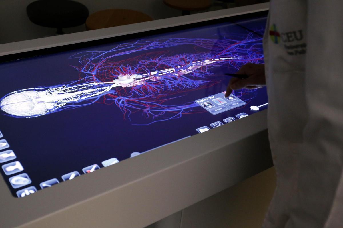 Mesa Anatomía Digital CEU USP (2)