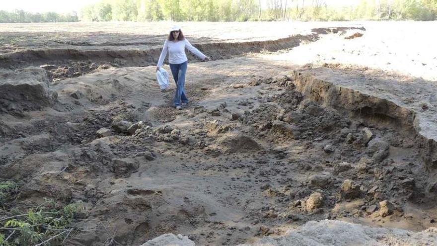 Rosalía Parra, concejala de Santa Colomba, ayer, en los terrenos afectados por las últimas riadas.