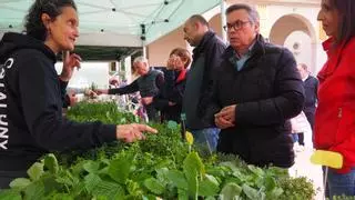 El Mercat de les Herbes de la Ratafia de Santa Coloma posa el focus en l'adaptació dels horts i jardins a la sequera