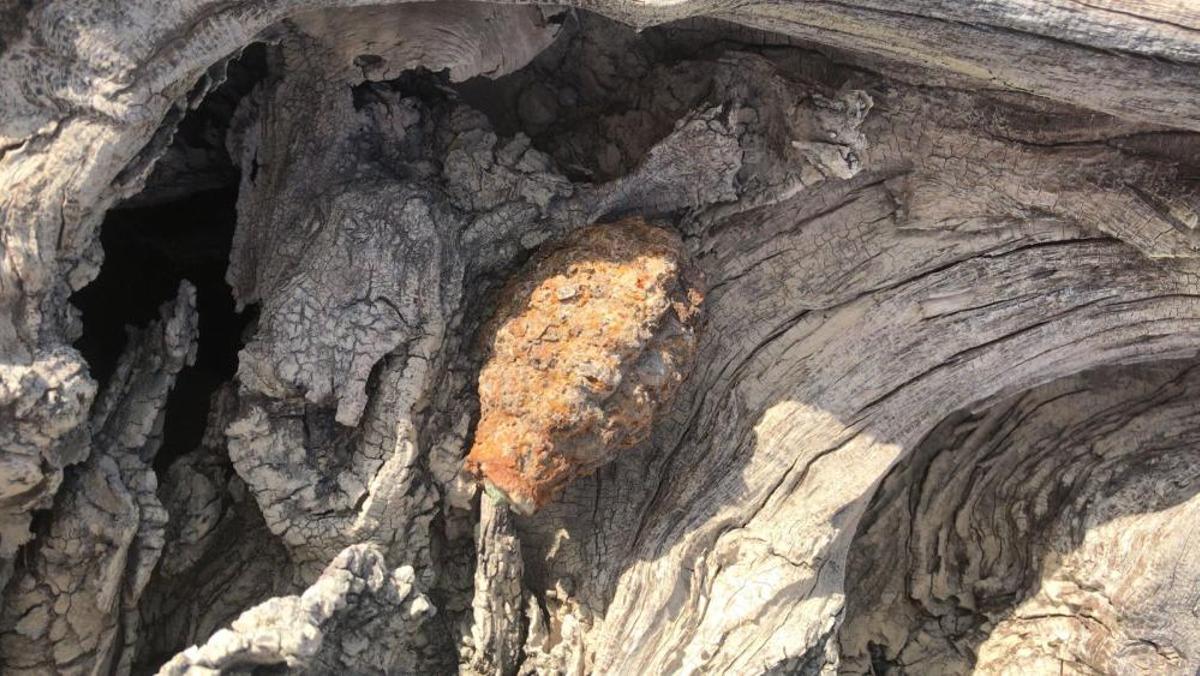La Guardia Civil destruye una granada de la guerra civil hallada en Crevillent