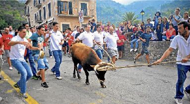 Jahresrückblick 2016 Mallorca