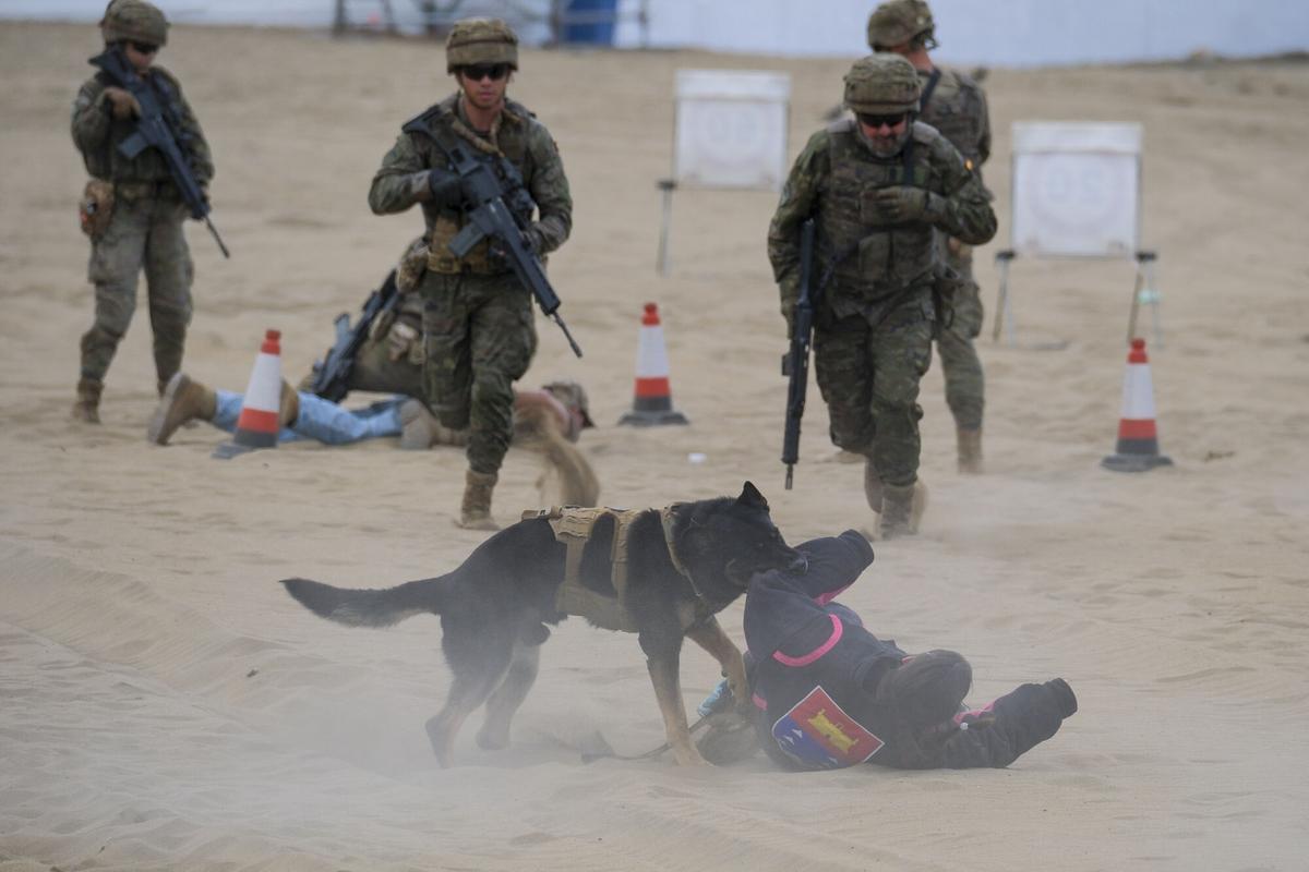 Exhibición por el Día de las Fuerzas Armadas, en la playa de Alcaravaneras Exhibición por el Día de las Fuerzas Armadas, en la playa de Alcaravaneras