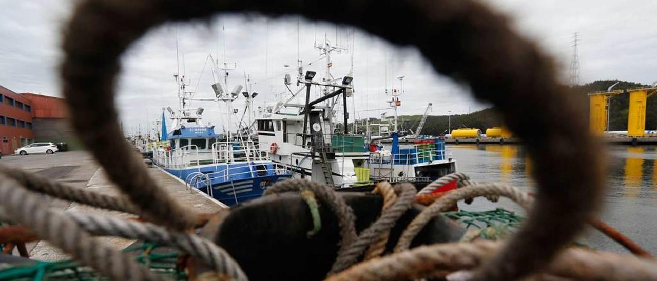 Barcos pesqueros atracados en la ría de Avilés.