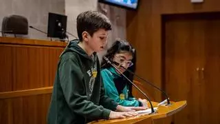 Escolares de Aragón debaten en las Cortes sobre la convivencia y el entorno digital: "Lo que decimos por una pantalla puede hacer daño"