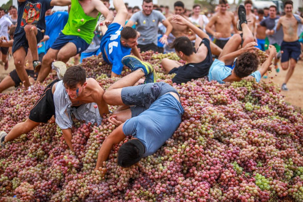 La batalla de los 18.000 kilos de uvas en Binissalem
