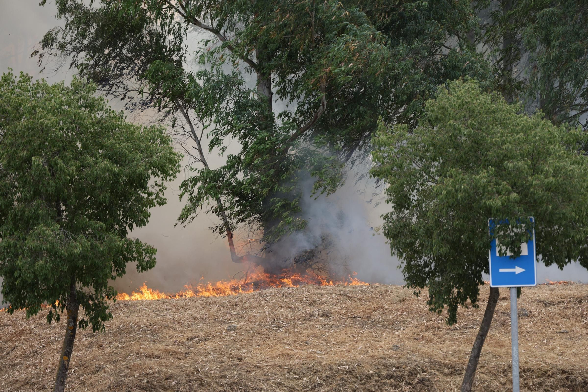 Incendio de pastos en unas pistas de fútbol de La Mejostilla
