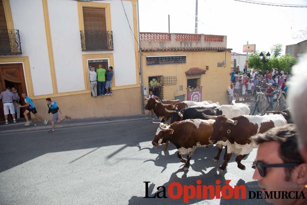 Sexto encierro en Moratalla