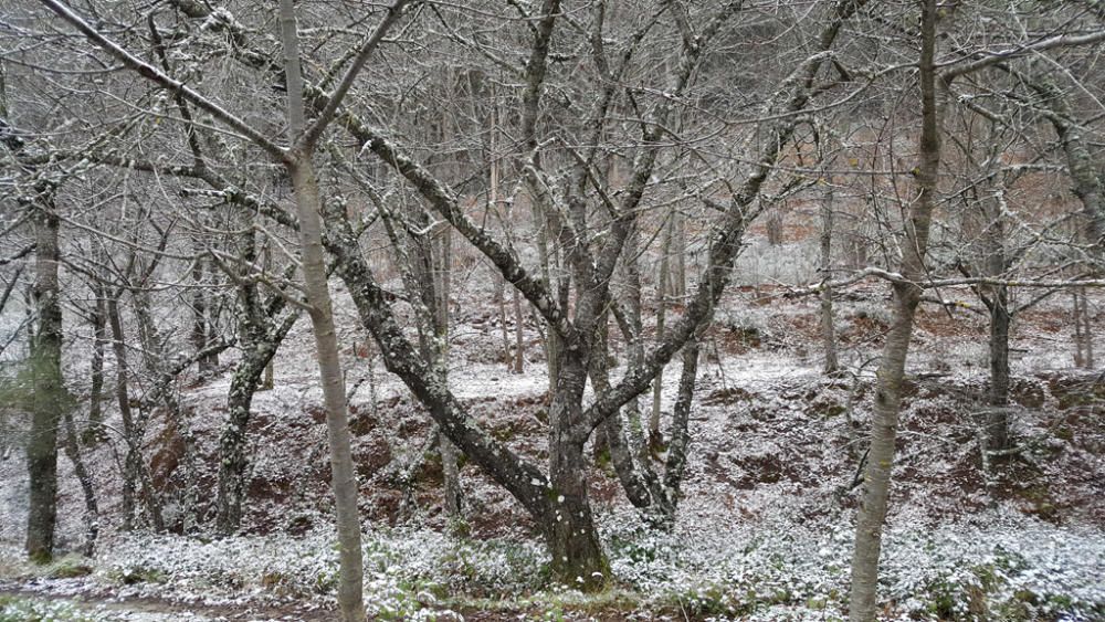 Primeras nieves de 2017 en la provincia de Málaga