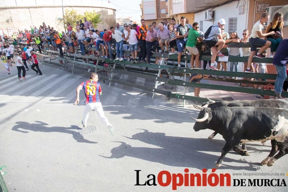 Segundo encierro de Calasparra