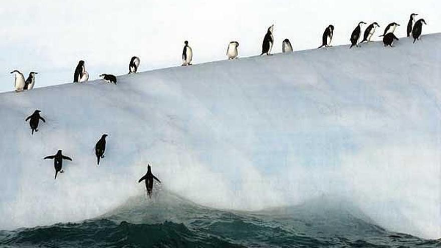 &quot;Los escaladores del hielo&quot;, de María Stenzel (EE UU).