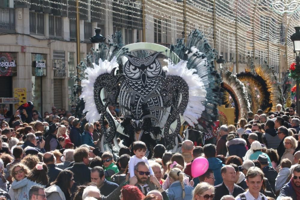 Carnaval de Málaga | Domingo de Piñata