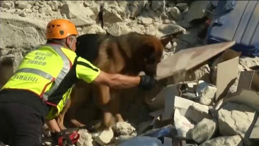 Los afectados por el terremoto de Italia vuelven a sus hogares en busca de sus pertenencias