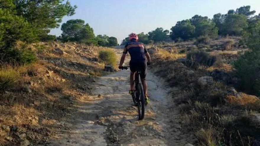 El Seprona vuelve a multar a ciclistas de montaña por circular por pistas forestales en Elche