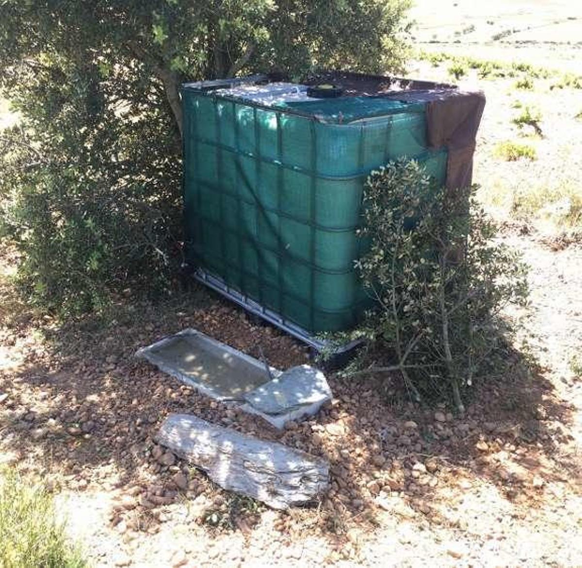 Los cazadores mejoran sus cotos para proteger las especies ante la sequía