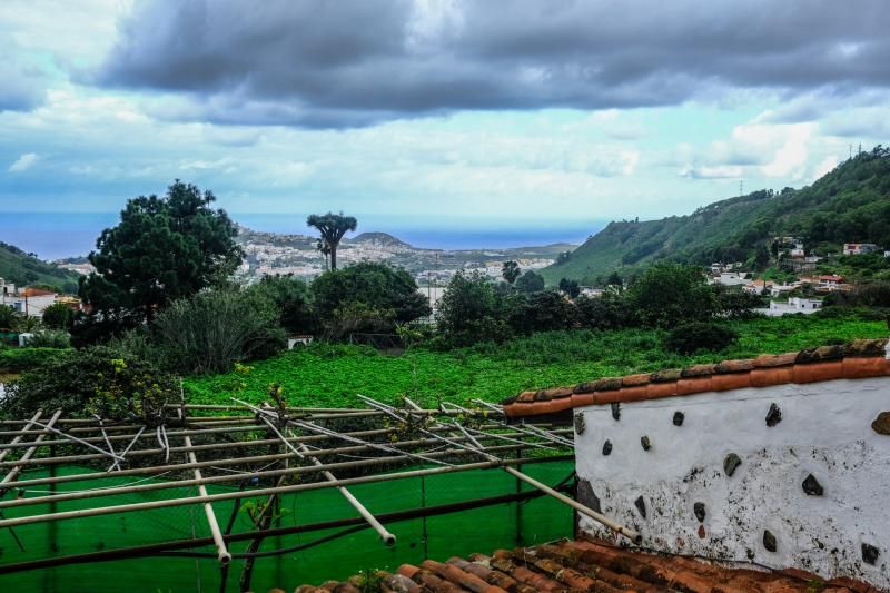 El agua caída con filomena beneficia al campo aruquense