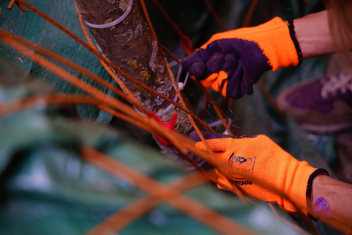 Comienza el montaje de las instalaciones de Flora 2025