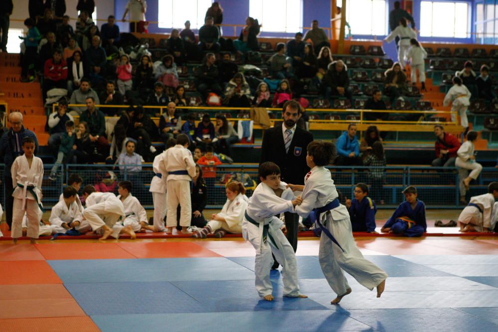 Campeonato regional de judo