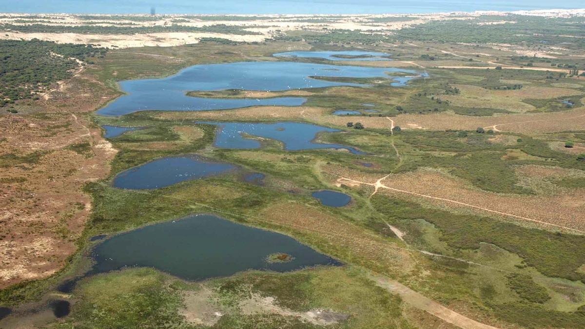 Algunos científicos dicen que Doñana se seca a causa de la extracción de agua de los acuíferos. / Estación Biológica de Doñana.