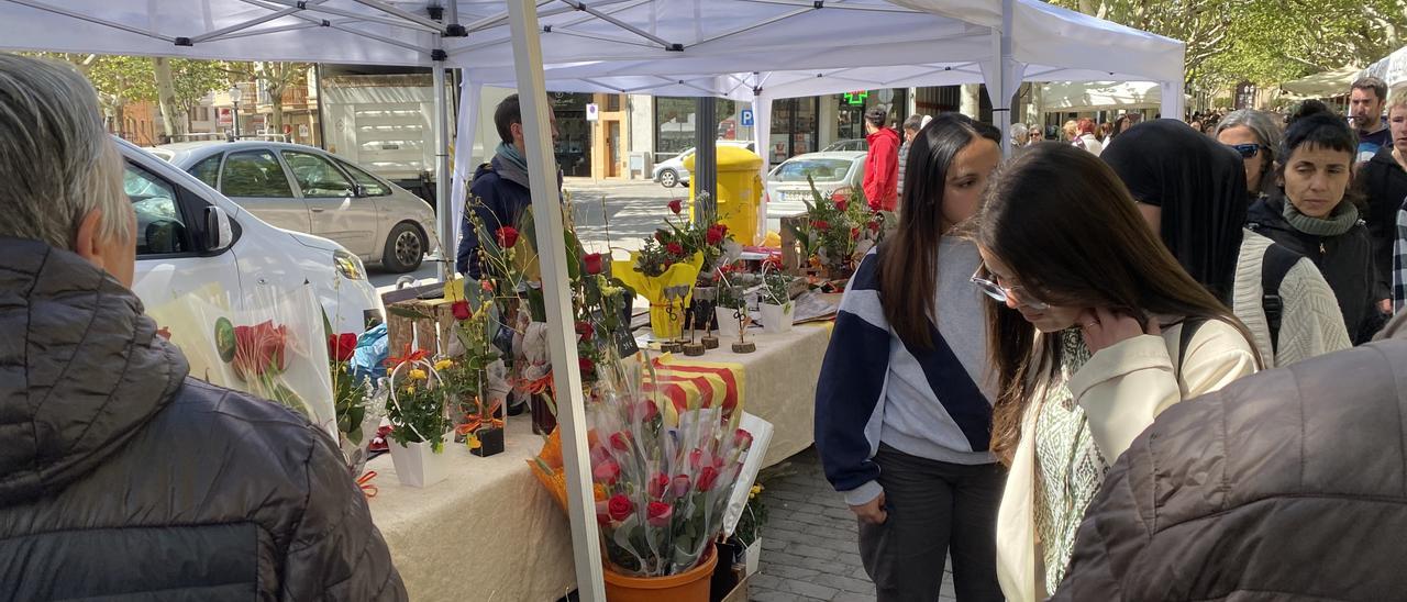 Sant Jordi 2024 a Solsona, en imatges