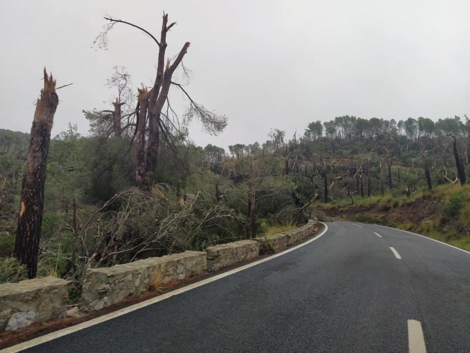 Tormenta, granizo y un 'cap de fibló' en Mallorca