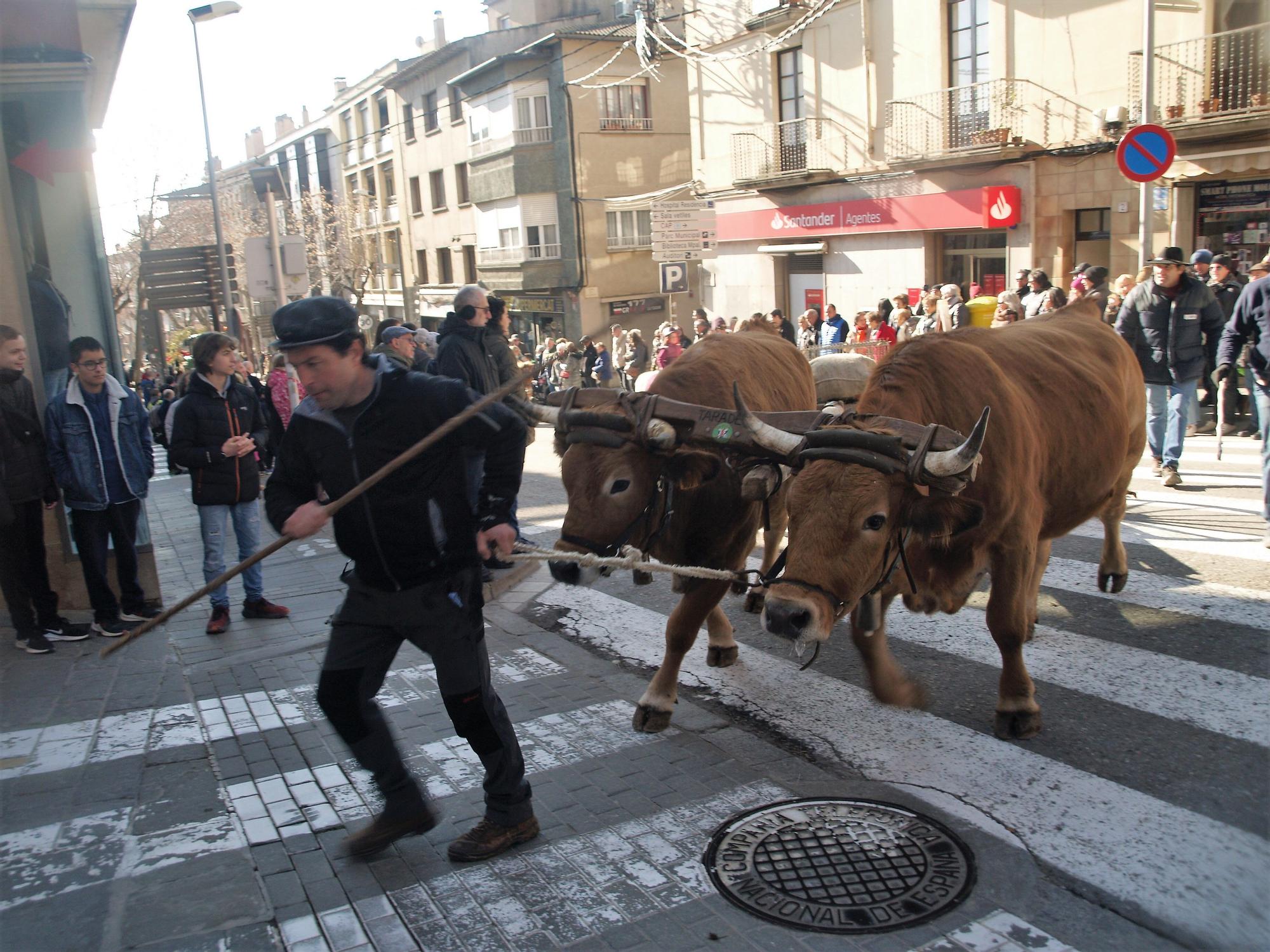 Festa dels Tres Tombs de Moià