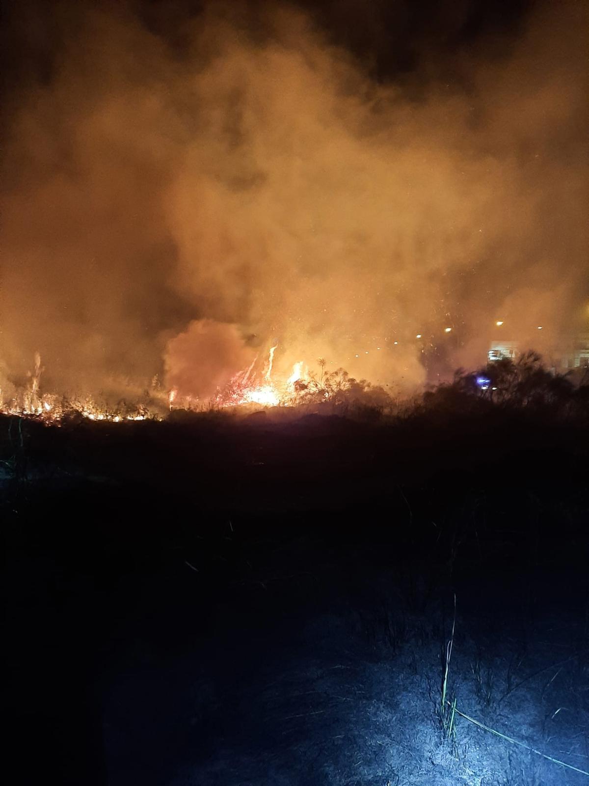 Imagen del fuego en la avenida Gabriel y Galán de Plasencia.