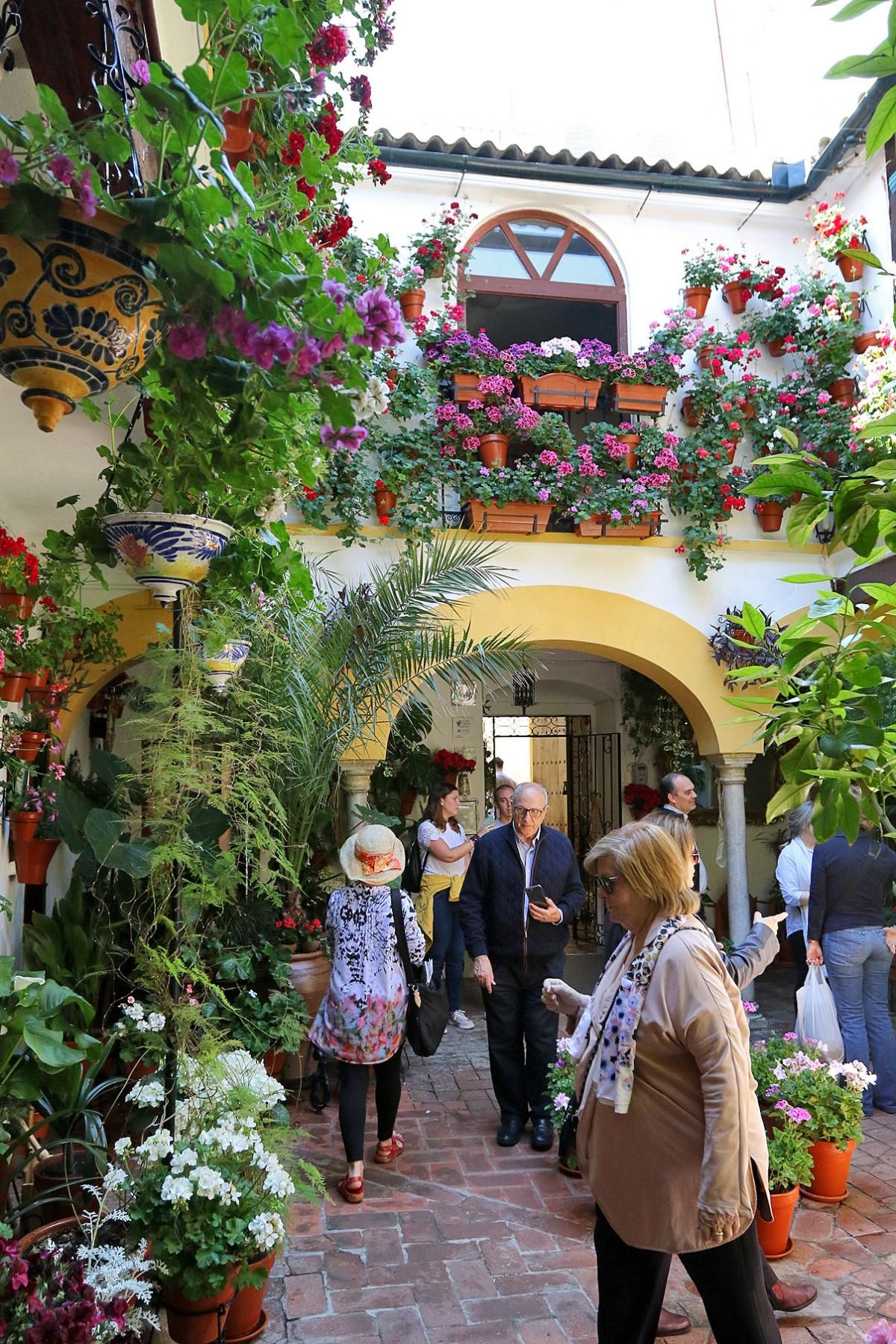 De patios por San Andrés y el Realejo