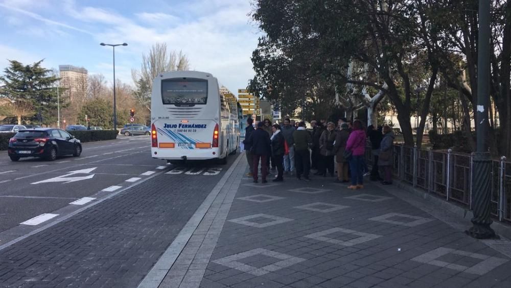 Zamora en la marcha por la Sanidad en Valladolid