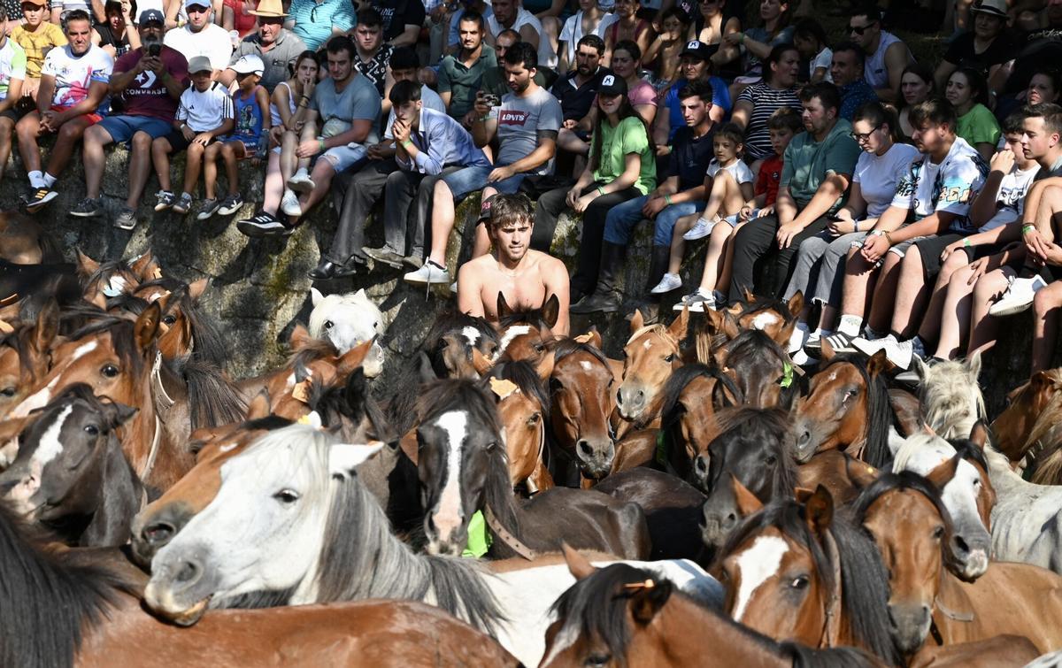 COTOBADE. Rapa das Bestas de Cuspedriños