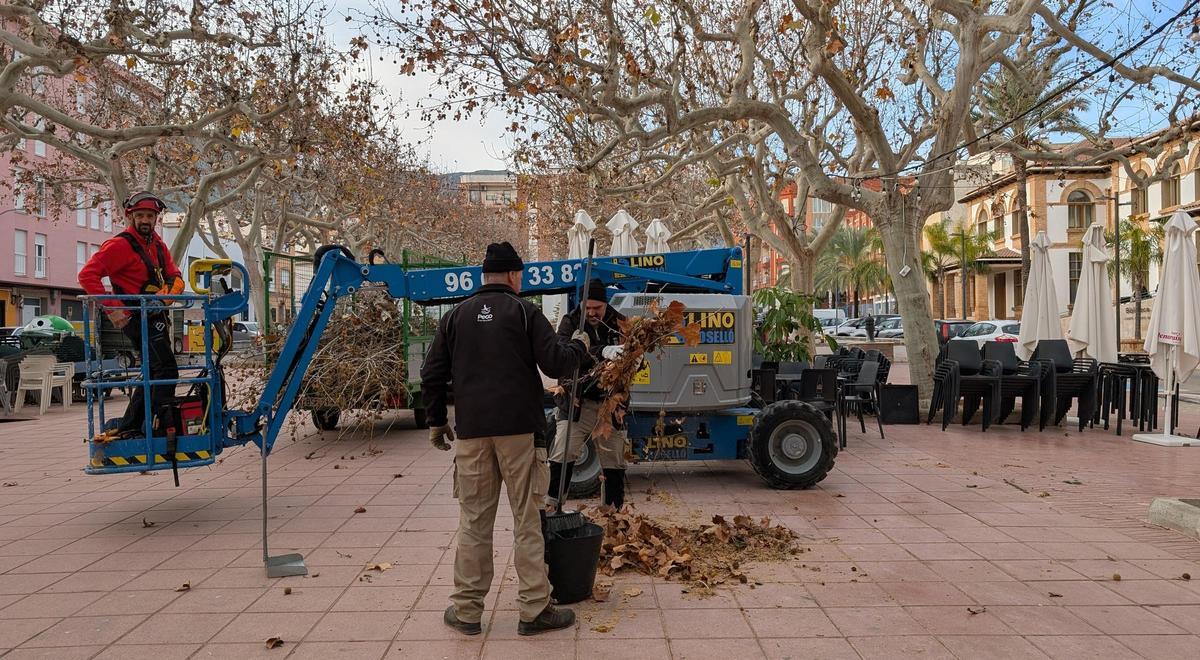 La retirada de ramas secas