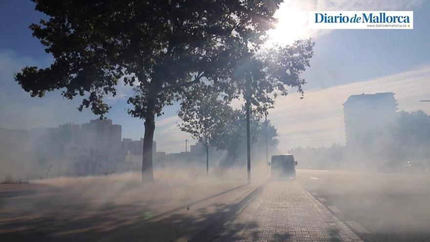 Un incendio quema un solar en la Avenida de México de Palma