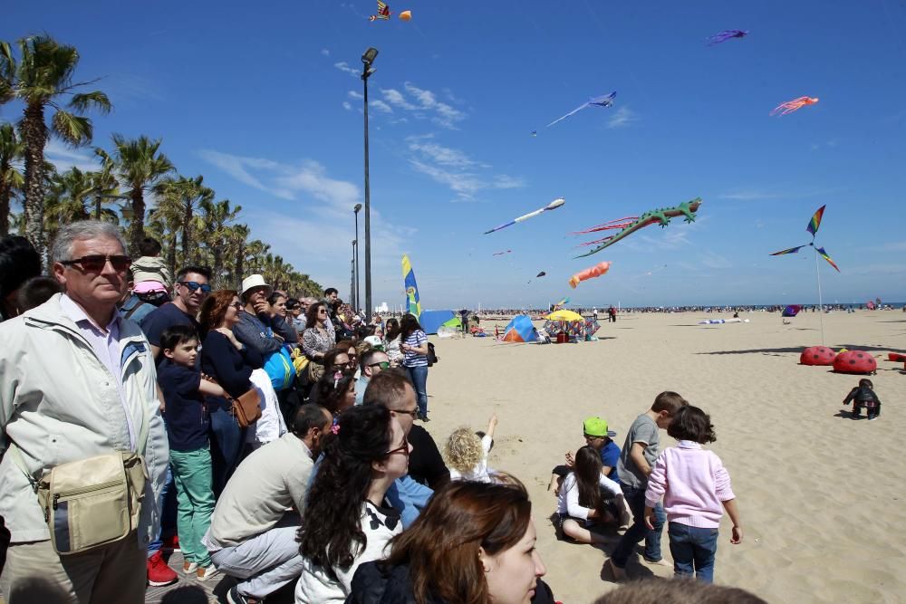 Festival del Viento 2016 en la Malva-rosa