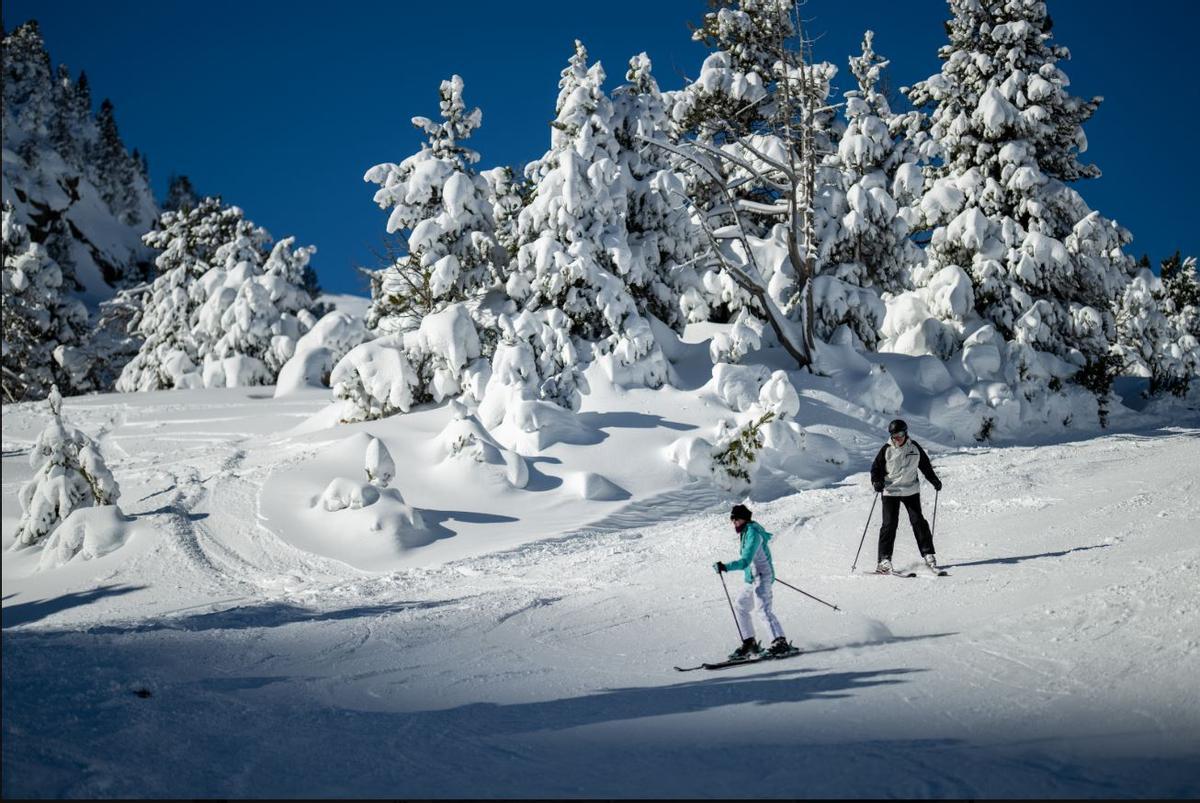 Dos esquiadors baixen per una pista de Vallter entre arbres carregats de neu