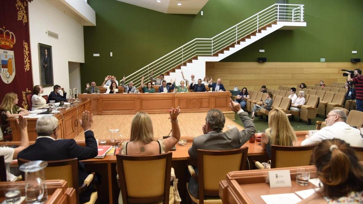 Torremolinos ha aprobado en el pleno de junio la ordenanza de ayudas para menores con necesidades especiales.