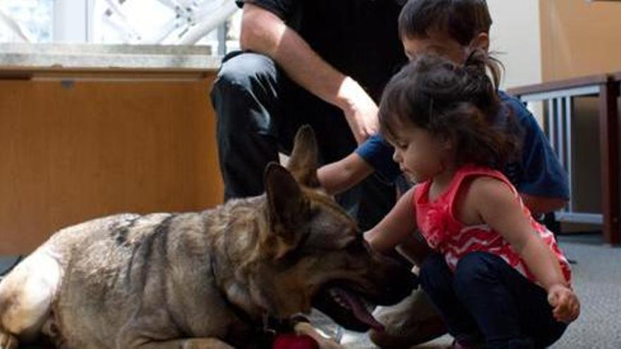 Dos pequeños juegan con un perro.