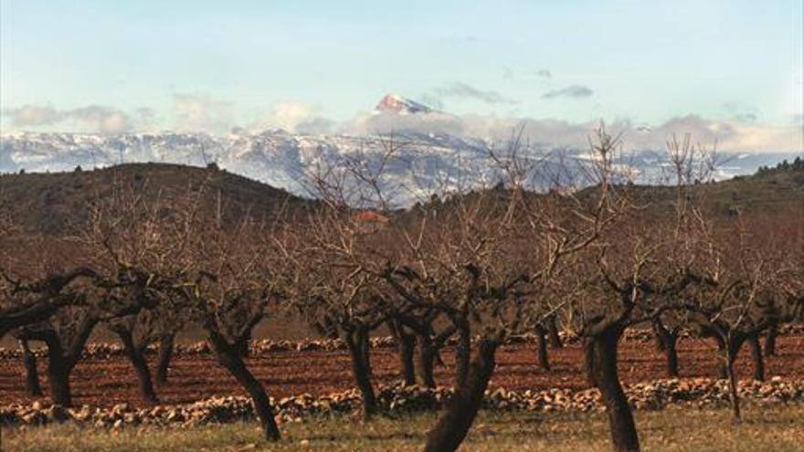 Toda la provincia en un calendario, con ‘Mediterráneo’