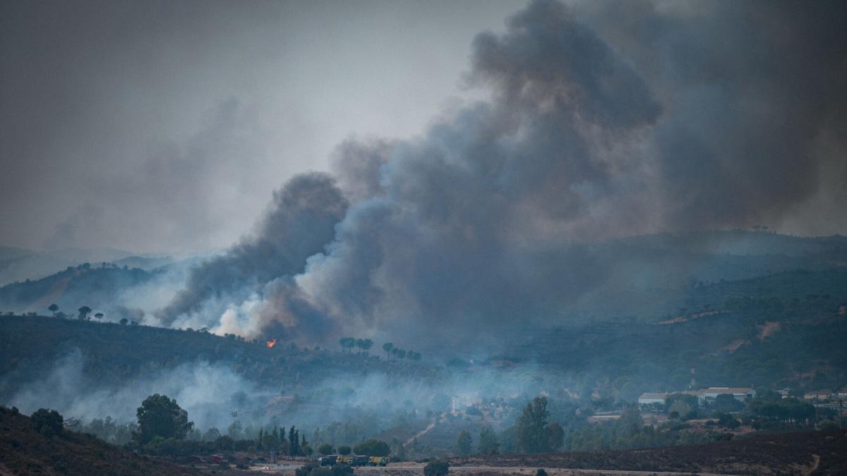 INCENDIO EN HUELVA | Noveno día de lucha contra el incendio de Niebla que cruza Sevilla: «El fuego no ha avanzado por primera vez durante la noche»