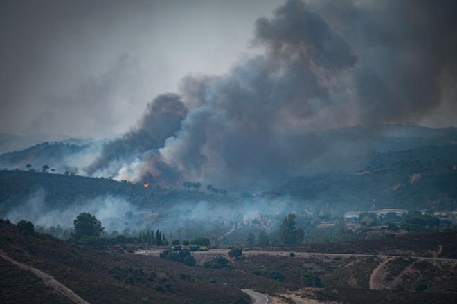 Noveno día de lucha contra el incendio de Huelva que cruza Sevilla: "El fuego no ha avanzado por primera vez durante la noche"