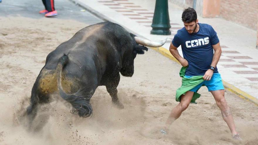 Festejos de &#039;Bous al carrer&#039; en Albuixech