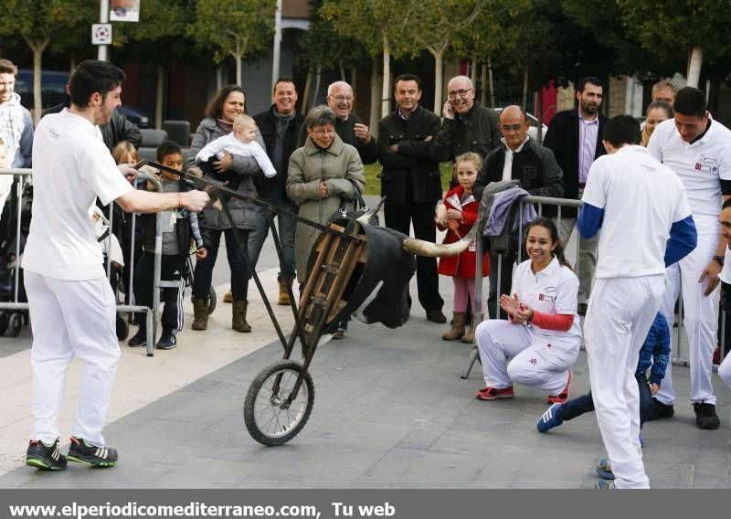 GALERÍA DE FOTOS -- Demostración de recortadores en Almassora