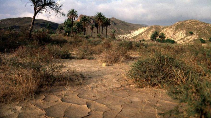 Los expertos alertan del fiasco de las políticas de la UE contra la desertificación